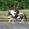 Fee flatwork (2)