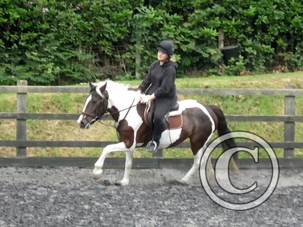 Fee flatwork (2)