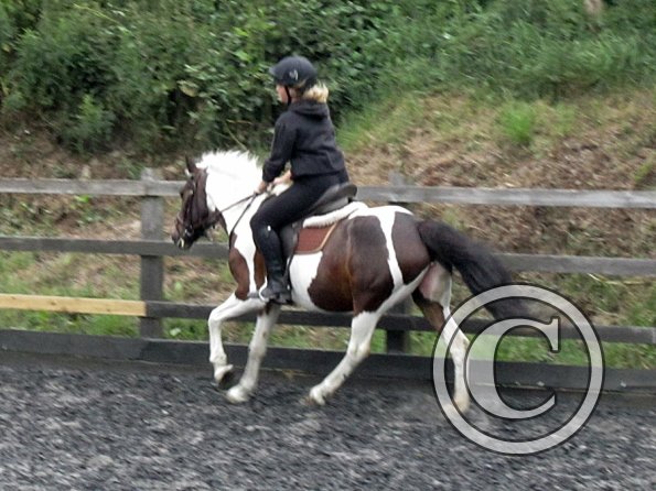 Fee flatwork (3)