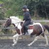 Fee flatwork (4)