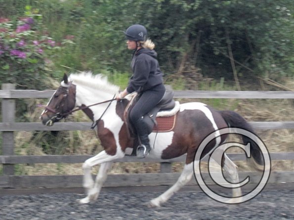 Fee flatwork (4)