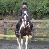 Fee flatwork (5)