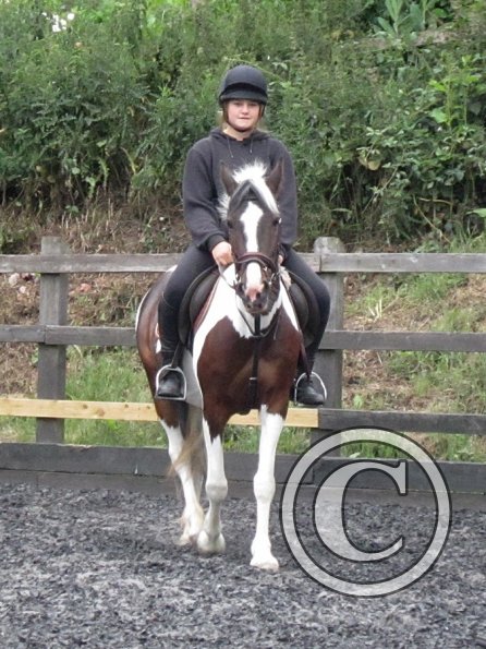 Fee flatwork (5)