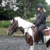 Fee flatwork (7)