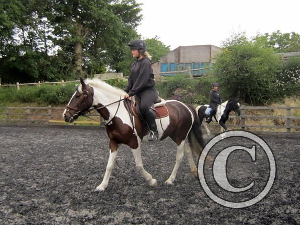 Fee flatwork (8)
