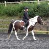 Fee flatwork (9)