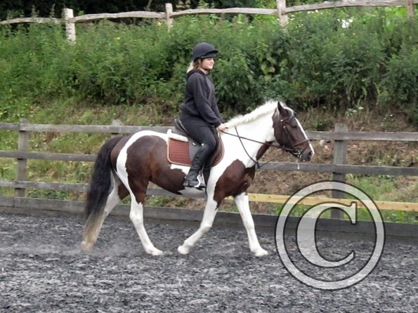 Fee flatwork (9)