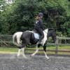 JD flatwork (14)