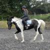 JD flatwork (16)