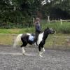 JD flatwork (17)