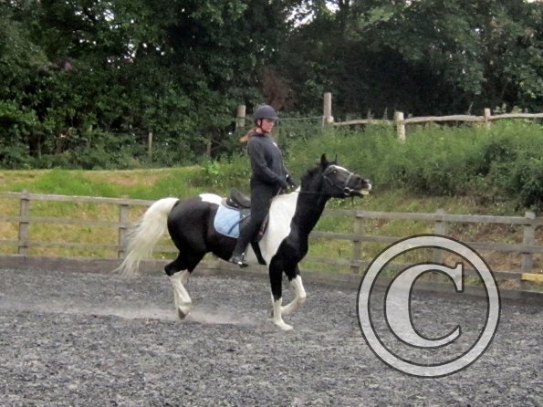 JD flatwork (17)