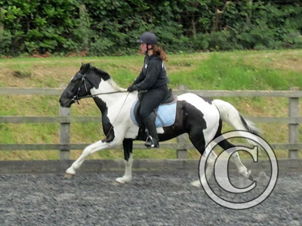 JD flatwork (19)