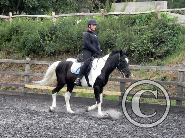 JD flatwork (5)