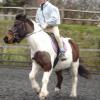 Tilly canter 2