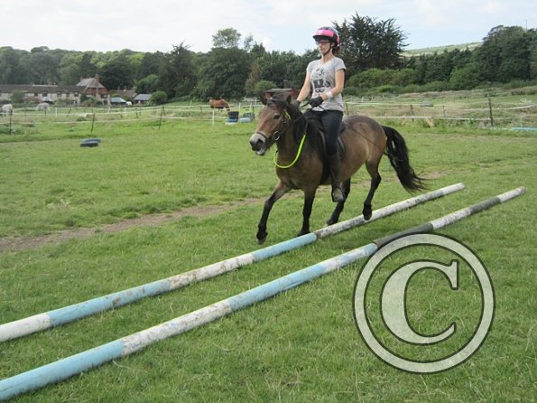 First trec workshop (10)