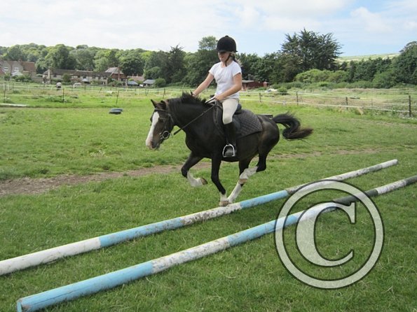 First trec workshop (13)