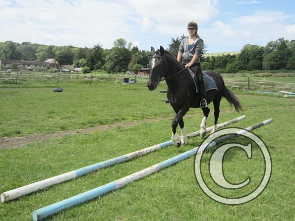 First trec workshop (14)