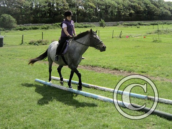 First trec workshop (17)