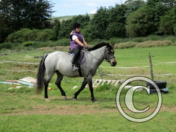 First trec workshop (2)