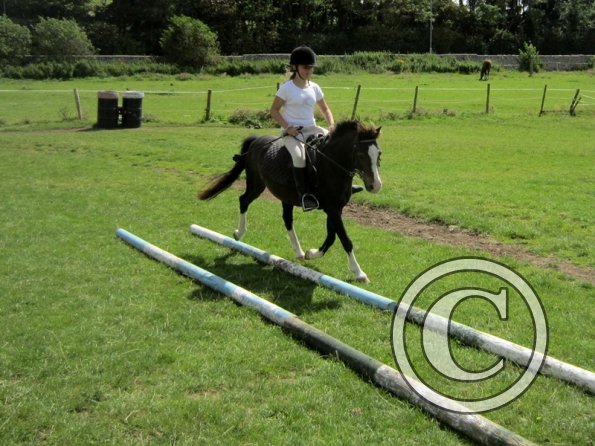 First trec workshop (20)