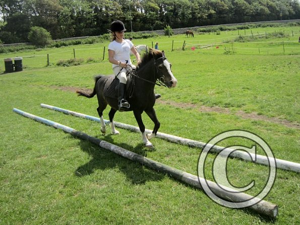 First trec workshop (21)