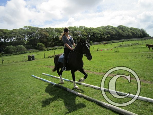 First trec workshop (22)