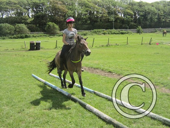 First trec workshop (23)