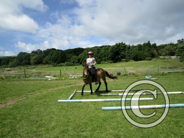 First trec workshop (24)