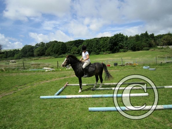 First trec workshop (25)