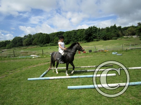 First trec workshop (26)