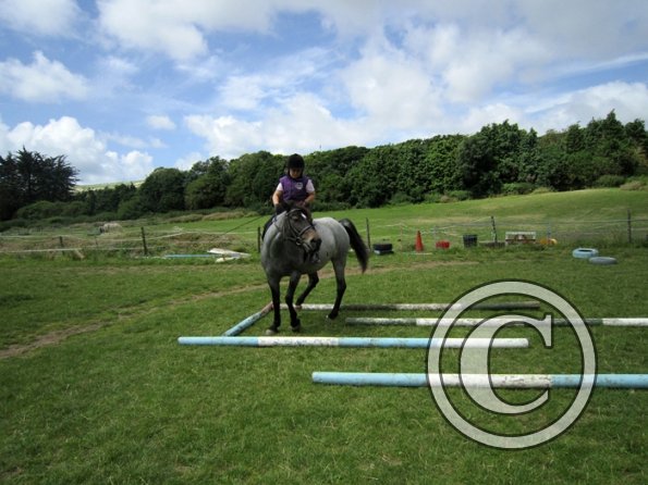 First trec workshop (27)