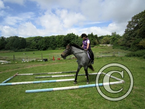 First trec workshop (28)