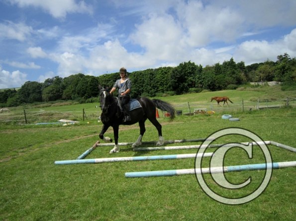 First trec workshop (29)