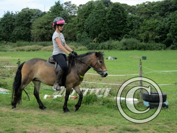 First trec workshop (3)