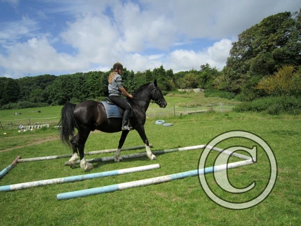 First trec workshop (30)