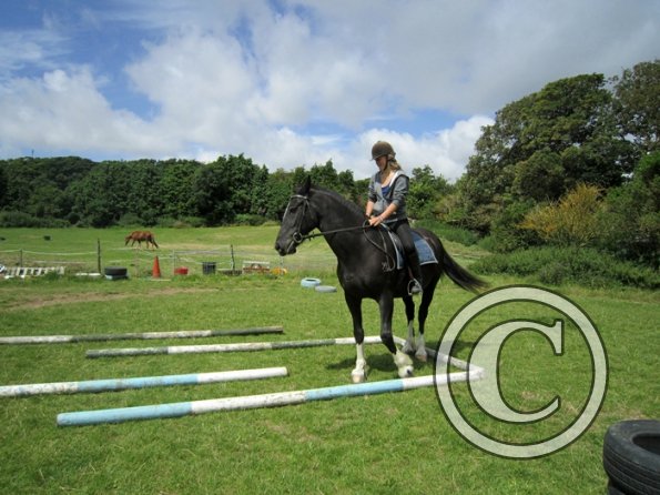 First trec workshop (31)