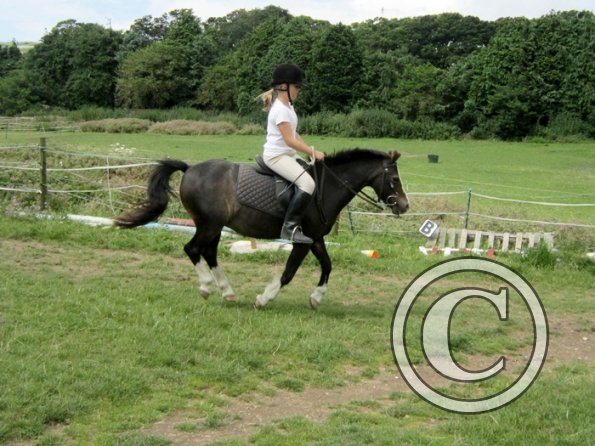 First trec workshop (4)