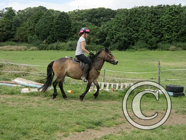 First trec workshop (5)