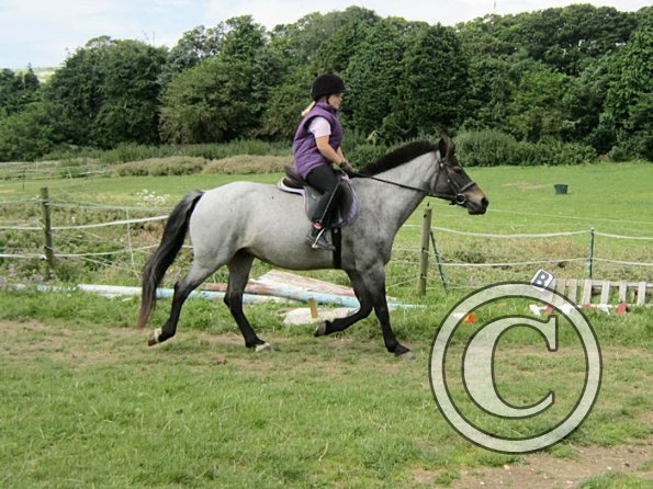 First trec workshop (6)