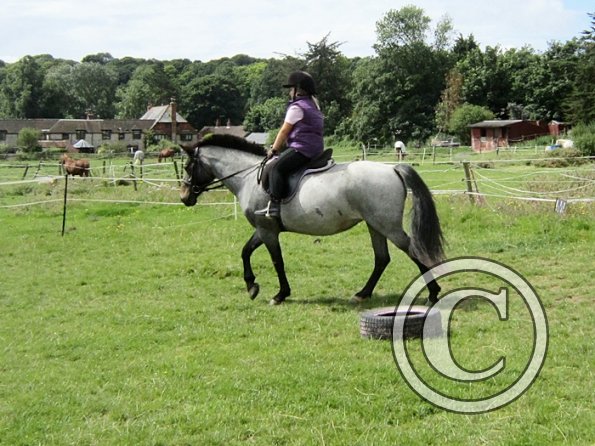 First trec workshop (7)