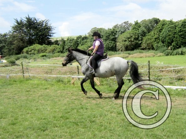 First trec workshop (8)