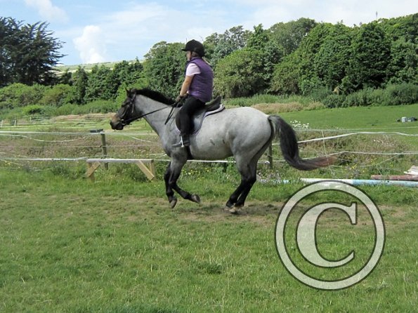 First trec workshop (9)