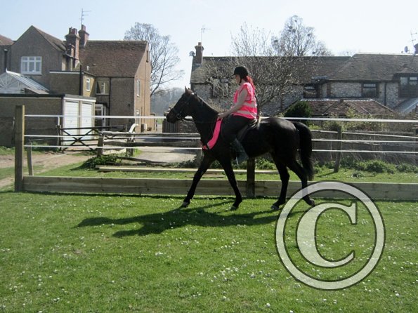 Scarlett riding Fluke (2)