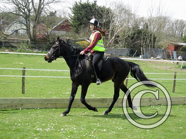 Yas riding Fluke (11)