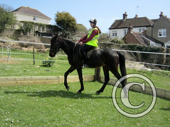 Yas riding Fluke (2)