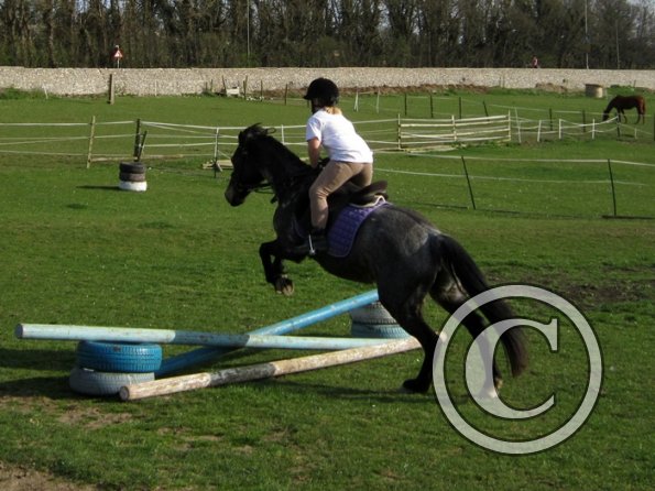 Alice riding Dixie (7)