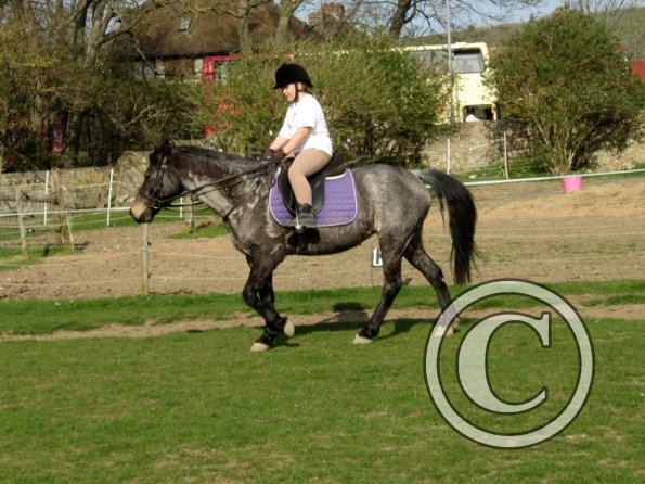 Alice riding Dixie (9)