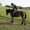Julia riding Appley (3)