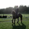 Julia riding Appley (4)