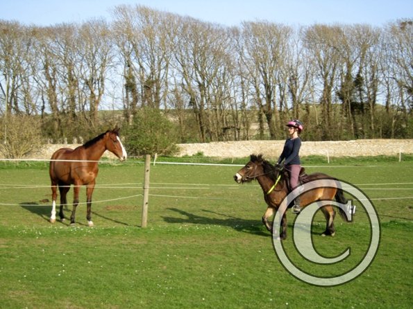 Julia riding Appley (7)